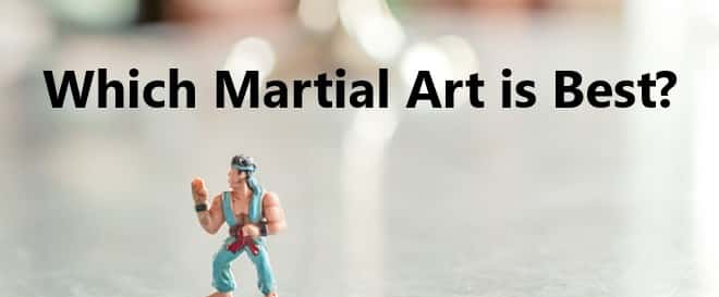Which Martial Art is Best?