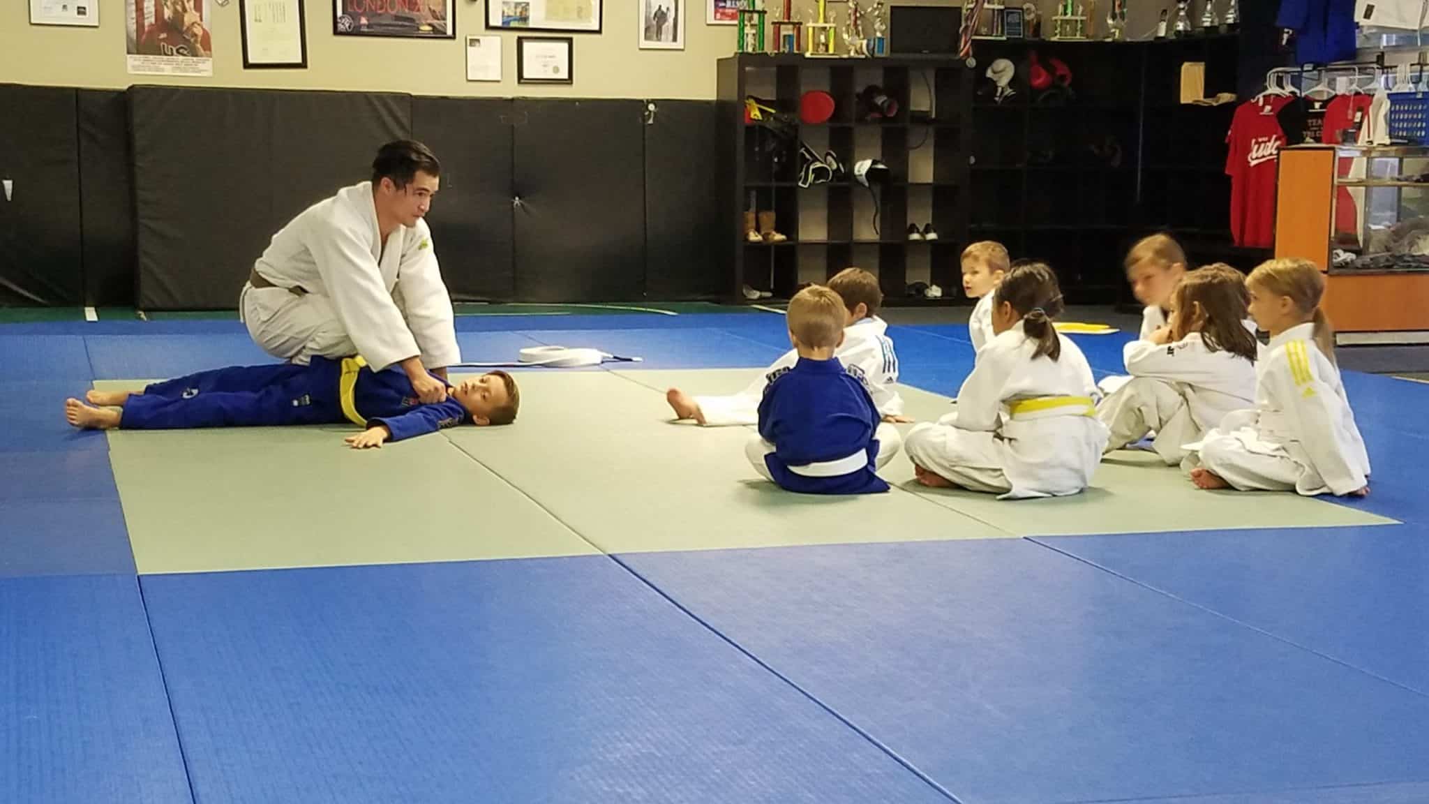 junior developmental judo
