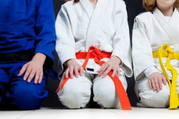 karate-vs-taekwondo-belts